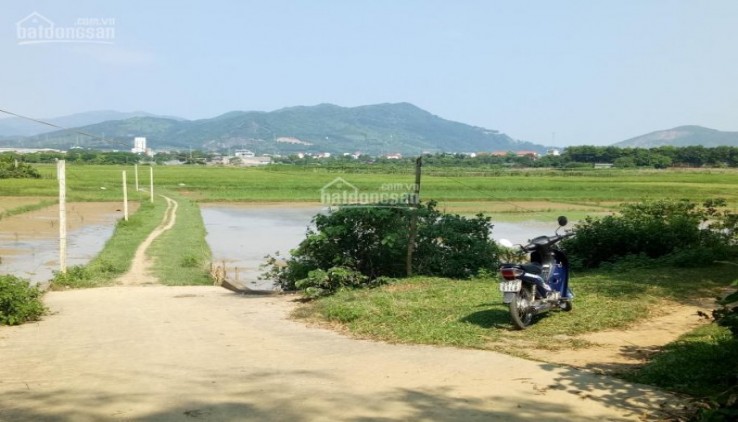 Bán đất thổ cư 5.855m2 bám đường bê tông 50m,view cánh đồng,giá rẻ tại xã Nhuận Trạch, Lương Sơn, Hòa Bình, LH 0962.792.687