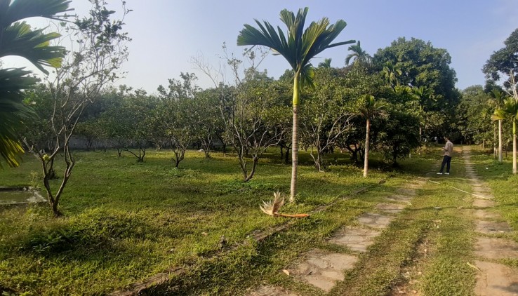 Bán đất Lương Sơn Hòa Bình, khuôn viên 3600m2 đẹp hoàn thiện giá rẻ