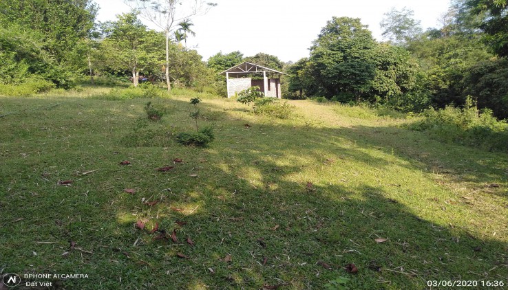 Bán 1700m2 đất thổ cư nhà vườn tại Lương Sơn Hòa Bình giá rẻ