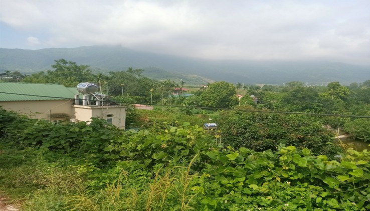 Cần bán 2500m2 làm nhà vườn nghỉ dưỡng ở Tiến Xuân Thạch Thất