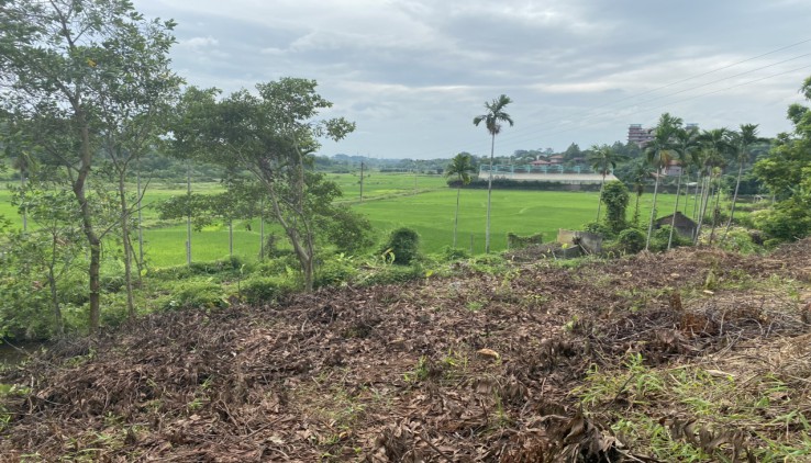 7760m2 đất view cánh đồng tại Hòa Sơn – Lương Sơn cần tìm chủ mới