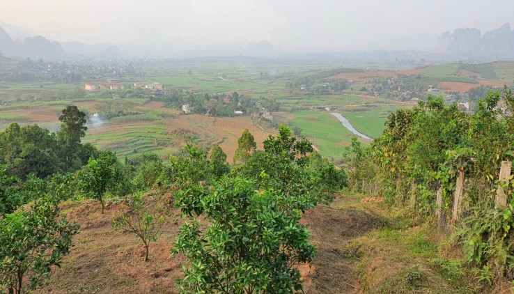 Bán gấp 3,8ha đất rsx cực đẹp làm nghỉ dưỡng.homestay Cao Phong-HB