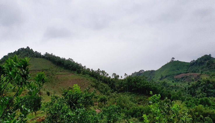 BÁN ĐẤT CAO PHONG HÒA BÌNH - CHƯA TỚI 2 TỶ CHO LÔ ĐẤT 4,5HA VIEW CỰC ĐỈNH