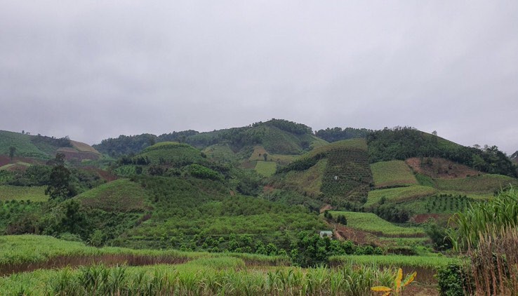 BÁN ĐẤT CAO PHONG HÒA BÌNH - CHƯA TỚI 2 TỶ CHO LÔ ĐẤT 4,5HA VIEW CỰC ĐỈNH