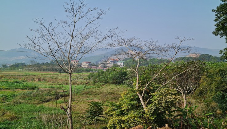 Bán đất Hòa Lạc dt 1550m có 100m đất ở Yên Trung Thạch Thất view đẹp suối chảy quanh đất đường rộng