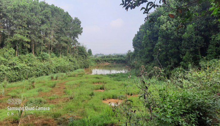 Bán đất cư yên dt 2260m view cao thoáng