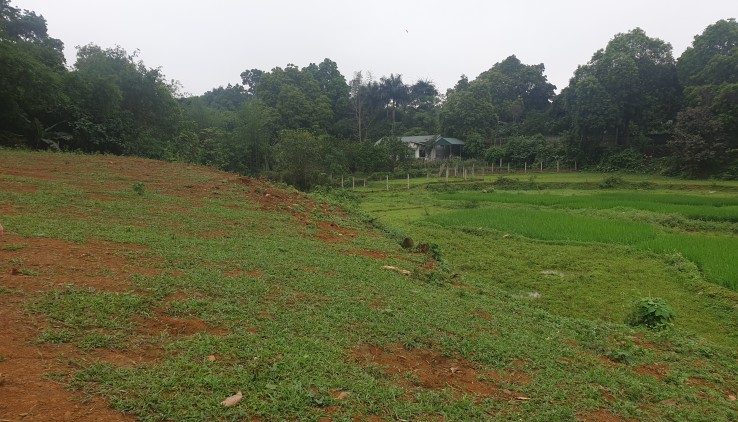 Bán đất Cư Yên Lương Sơn Hòa Bình 3200m²