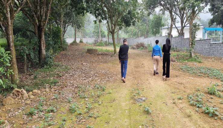 Bán 6400m đất thổ cư nhà vườn, Nghỉ dưỡng View cao thoáng tại Lương Sơn Hòa Bình
