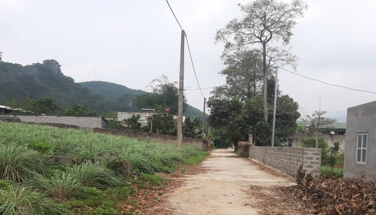 Bán đất tái định cư Lâm Sơn , 390m2 full thổ cư,view sân golf cực thoáng