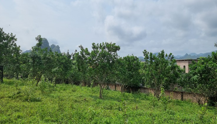 BÁN ĐẤT LƯƠNG SƠN 2000M VIEW NÚI ĐƯỜNG RỘNG THẾ THOẢI GIÁ CHỈ HƠN 3TY