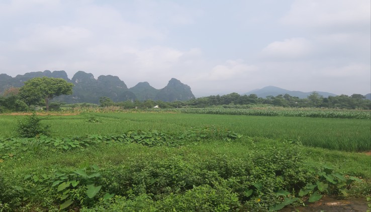 Cần sang tên lô đất nghỉ dưỡng 3200m2 tại Trung Sơn, Lương Sơn, Hòa Bình. Giá siêu rẻ.