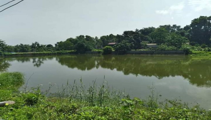 Bán đất Lương Sơn Hoà Bình- 1441m view hồ, giá rẻ
