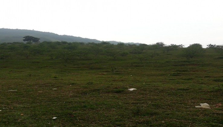 Bán đất Kim Bôi Hoà Bình- 2,3 ha đất ở và đất rừng, 100k/m2