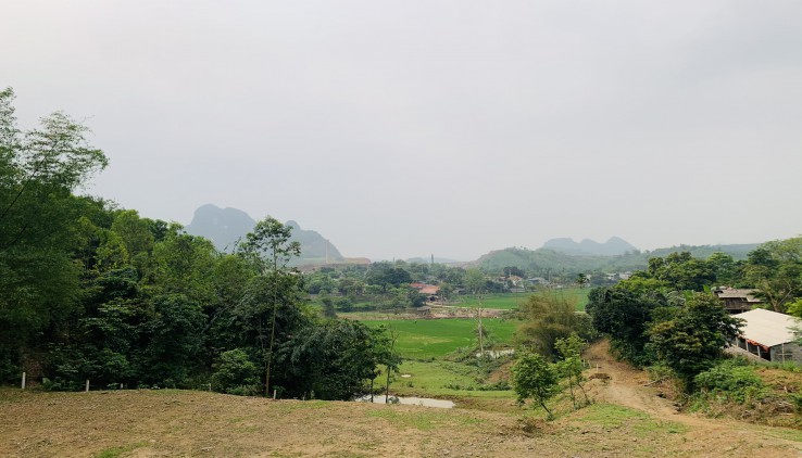 Bán 3,06ha tại Hợp Hoà 180m đất ở 2000m đất vườn còn lại là rừng sản xuất