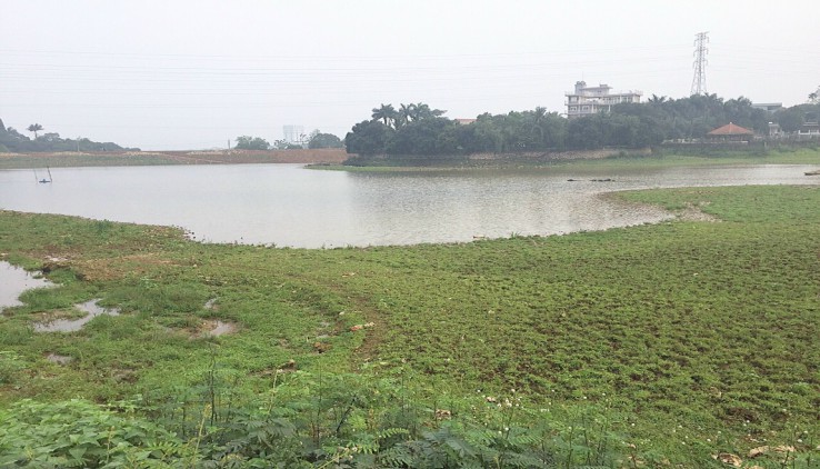 Bán đất Lương Sơn HB- lô 5050m gần 100m bám hồ, view cực thoáng đẹp