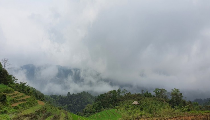 Bán đất Cao Phong 4ha view ruộng bậc thang trong truyền thuyết