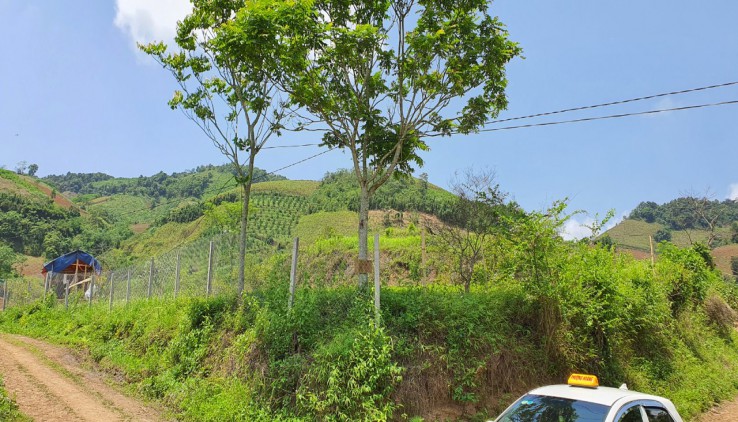Bán đất Cao Phong 5400m2 đất đầu tư