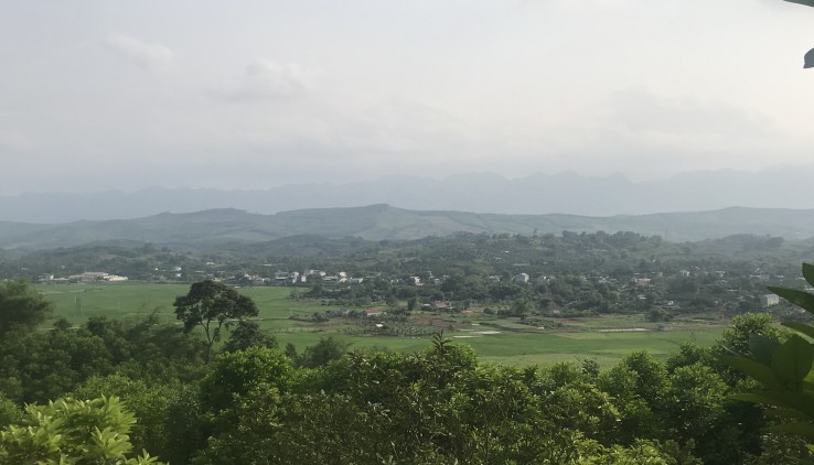 Bán trang trại bưởi Tân Lạc 2ha,đẹp, view thoáng