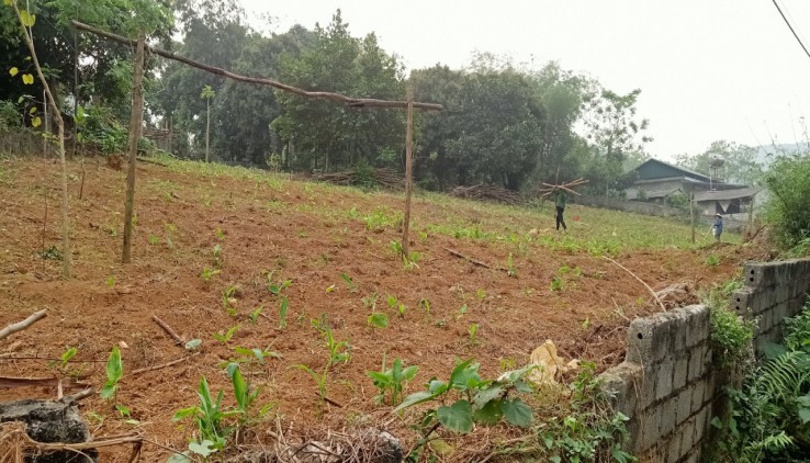 Bán Đất Đông Xuân Quốc Oai- 1900m view cao thoáng giá hạt rẻ