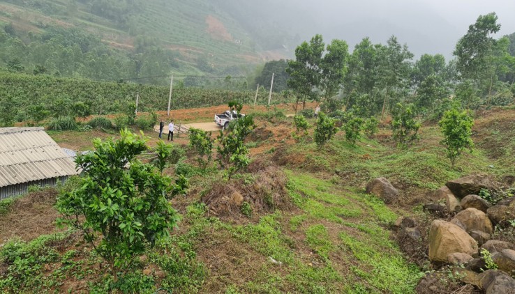 Bán 1,1ha đất thoải đẹp , view đỉnh