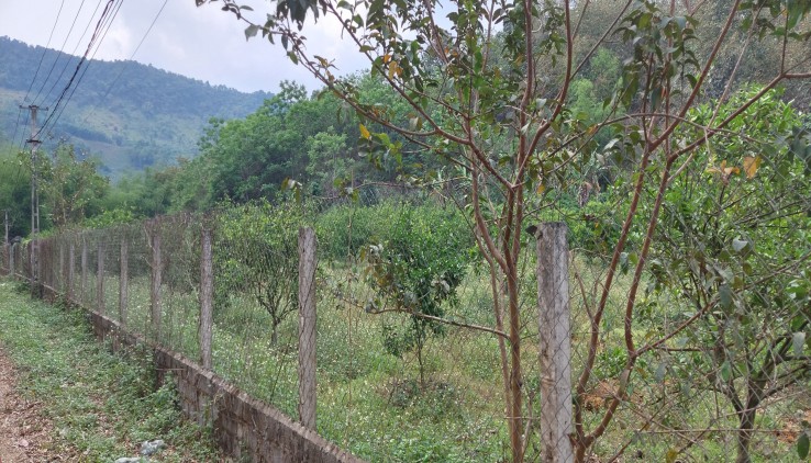 Bán gấp mảnh đất tại xóm Lãi Cao Phong giá rẻ