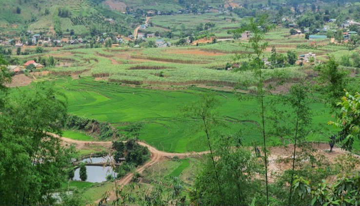 Cần nhượng lại mảnh đất có thổ cư lớn tại Xuân Phong Cao Phong