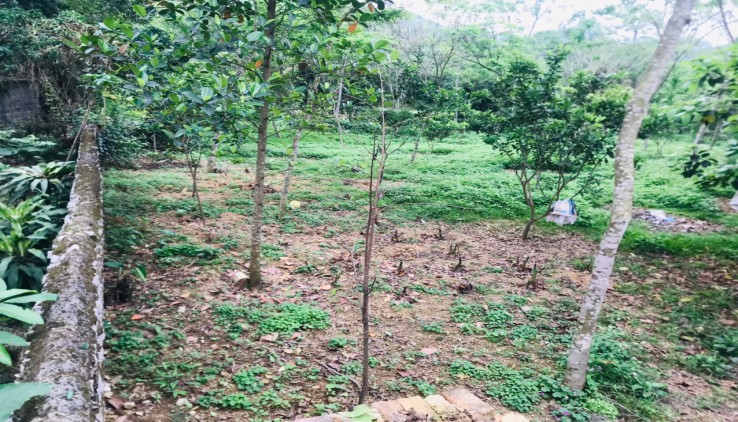 Bán đất Lạc thủy 5630m2 giá rẻ , sẵn vườn cây, nhà ở