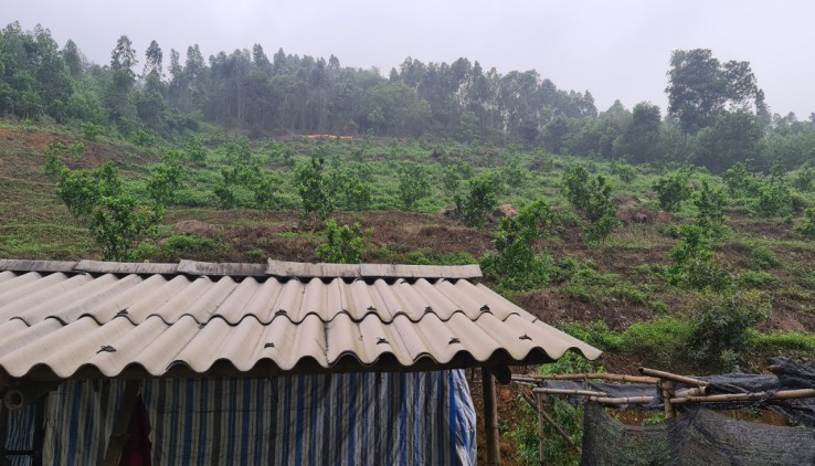 Bán 1,1ha đất thoải đẹp , view đỉnh