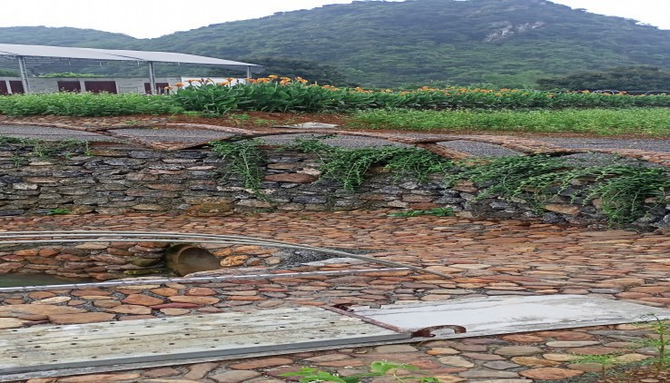 phong cảnh lên thơ dt 1,2 ha khuôn viên hoàn thiện sẵn hồ bơi ao cá tại luong sơn hòa bình