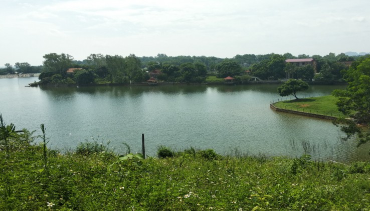 Bán 6500m đất thổ cư nhà vườn bám hồ Miễu tại Nhuận Trạch, Lương Sơn, Hòa Bình.