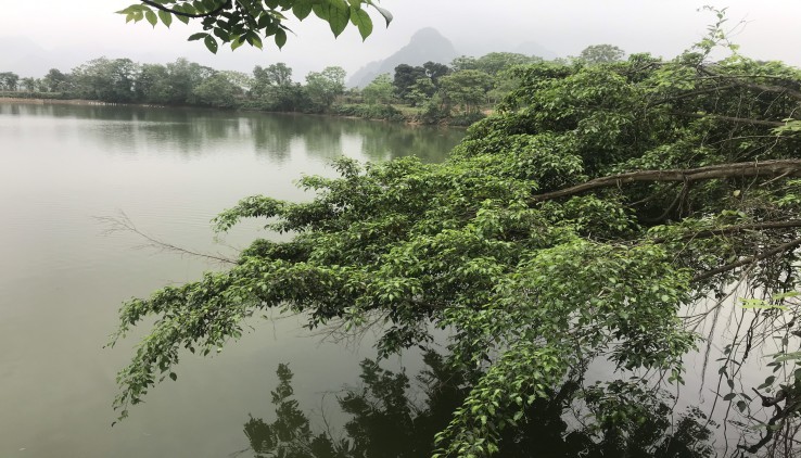 Bán 2000m đất nghỉ dưỡng View cực đẹp tại Lạc Thuy-Hòa Binh