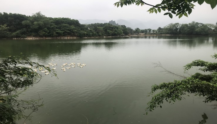 Bán 2000m đất nghỉ dưỡng View cực đẹp tại Lạc Thuy-Hòa Binh