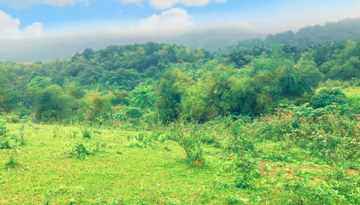 Bán đất Tiến Xuân, Thạch Thất, Hà Nội với DT 8000m View cao thoáng giá đầu tư.