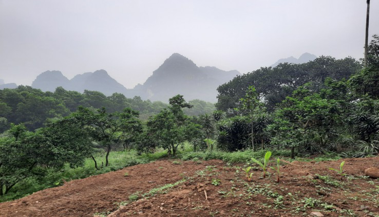 Bán đất lương sơn Hòa bình diện tích rộng 26000 m2 (2,6 ha) làm nghỉ dưỡng sinh thái gần sân golf skylake