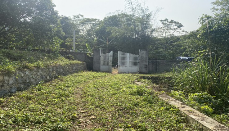 Bán gấp lô đất 7420m² có 5945m² thổ cư tại Phường Kỳ Sơn, TP Hoà Bình