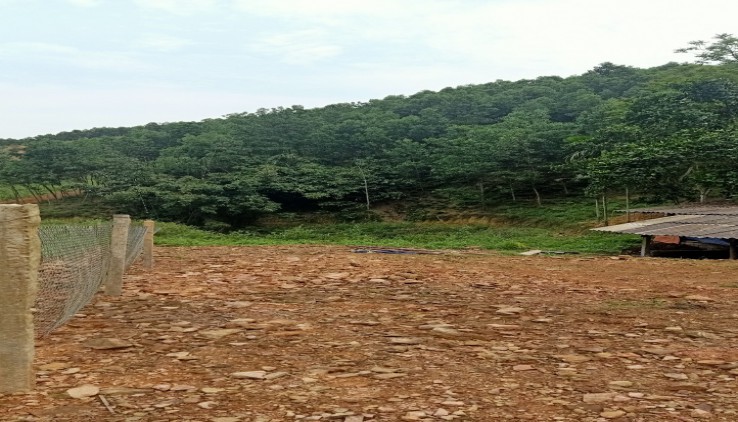 Bán đất làm trang trại 13ha tại Lương SƠn, đất thoải , giá rẻ