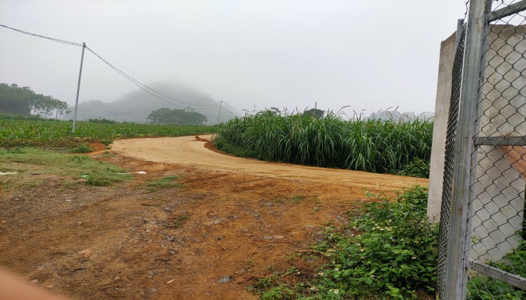 Bán đất trang trại tại Kim Bôi, 15ha, bán đất tặng bò