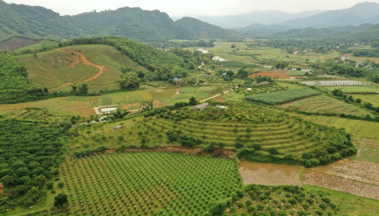 Bán đất Kim Bôi Hòa Bình 1,8ha