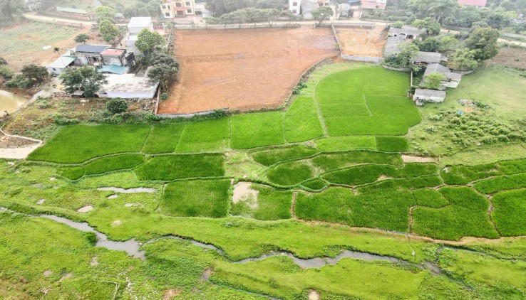 Bán siêu phẩm view cánh đồng tại Cự Yên Lương Sơn Hòa Bình  Diện tích 3114m² 400m² thổ cư phù hợp nghỉ dưỡng