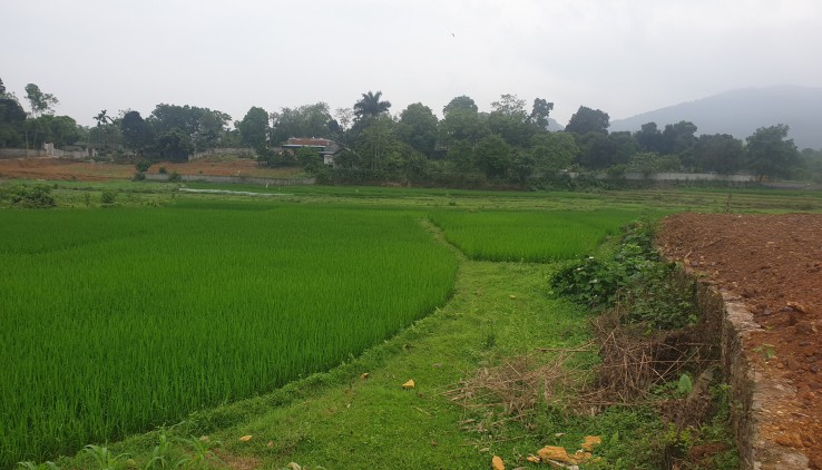 Bán siêu phẩm view cánh đồng tại Cự Yên Lương Sơn Hòa Bình  Diện tích 3114m² 400m² thổ cư