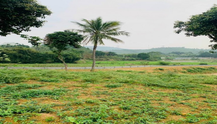 Bán đất Lương sơn siêu phẩm view cánh đồng tựa núi