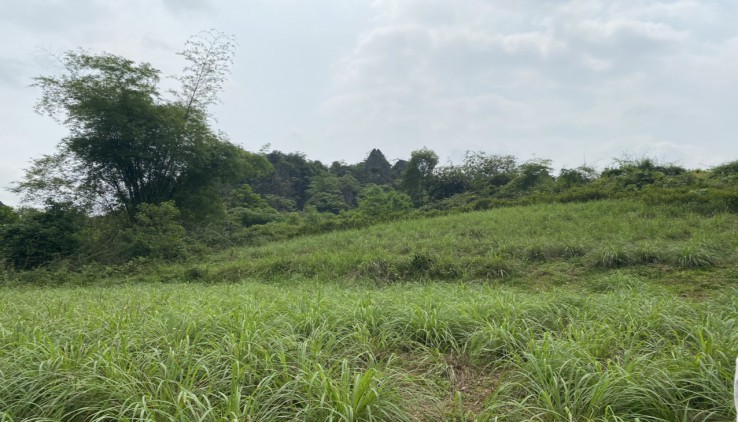 Bán em hoa hậu 2900m2,tại cao Răm- Lương Sơn, view cực đỉnh