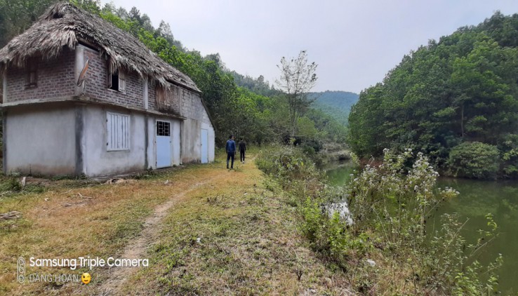 Bán 4,5ha đất rsx có ao và vườn cây keo đất đồi thấp phù hợp khu trải nghiệm , làm trang trại ,trồng cây