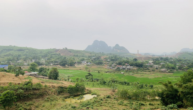 Bán 3ha đất ở đất vườn và rsx tại Hợp Hòa Lương Sơn view cao thoáng quá đẹp kk yên tĩnh giá 200k/m