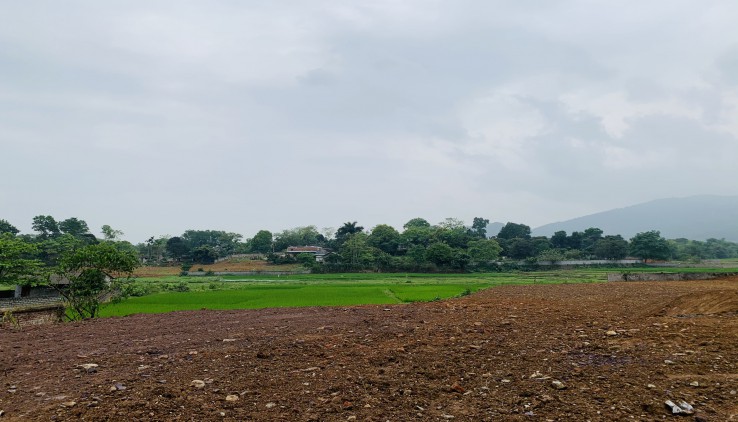 Bán siêu phẩm Cư Yên Lương Sơn S 3114m2 400m2 thổ view cánh đồng thoáng bám đường liên xã mt 60m