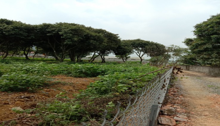 Bán đất Lương Sơn 2780m 500m thổ, thế đất bằng phẳng, 2 mặt tiền 40-15m view nhìn ra Hồ Đồng Chanh