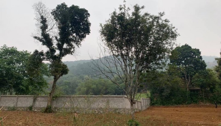 bán đất Cự Yên , Lương Sơn dt 3350m có 400m thổ cư tại suối rè cư yên view núi ,bám suối