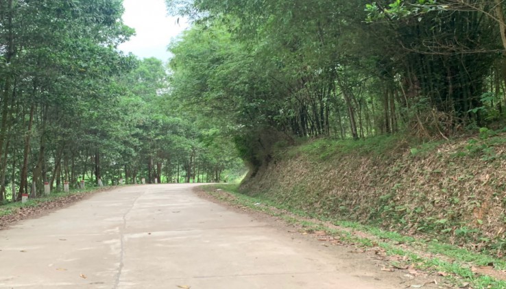Bán 1ha thổ cư đất vườn tại Hợp Thanh Lương Sơn view quá đỉnh bám đường oto tải tránh giá quá rẻ