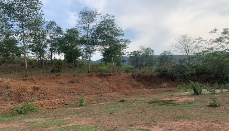 Cần bán đất rừng sản xuất tại Xăm Khòe, Mai Châu, diện tích 100ha.
