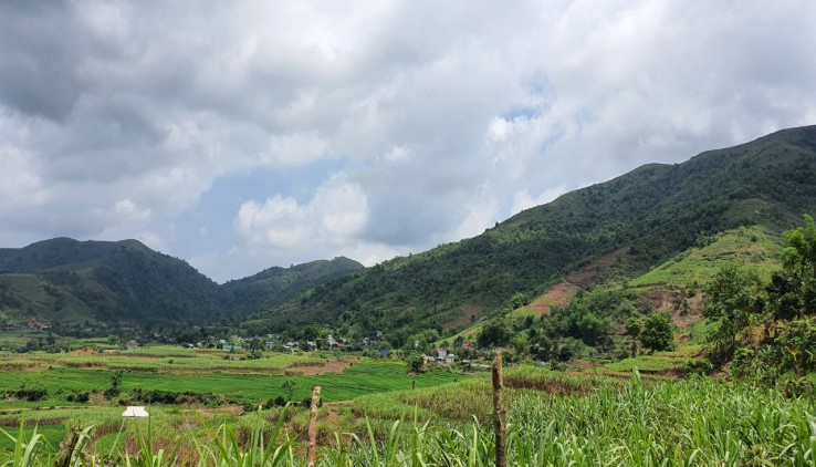 BÁN ĐẤT CAO PHONG 2000M THẾ BÁT ÚP LƯNG TỰA NÚI MẶT HƯỚNG SUỐI GIÁ CHỈ HƠN TỶ XÍU